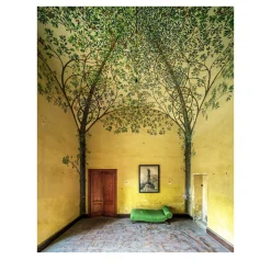 Picturesque - Un Canto Per Gli Alberi - Photographic Print