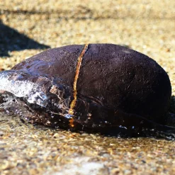 Pietra Inesistente Sculpture #3