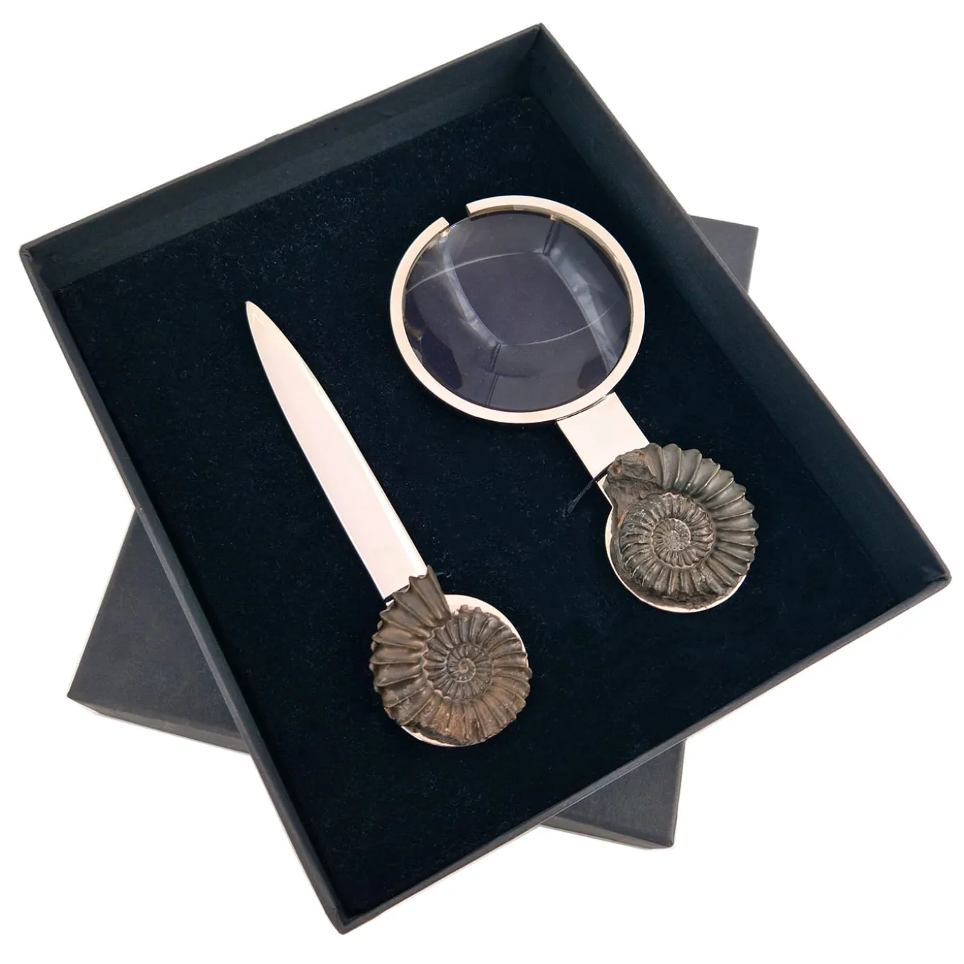 Pleuroceras Set of Magnifying Glass and Paper Knife by Nino Basso