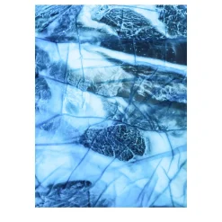 Prosciutto Photographic Print