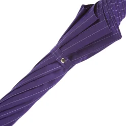 Purple Silver Lion Handle Umbrella