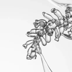 Pyrola Secunda Wine Glass