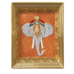 Ragiasthan Orange Gold Vide Poche