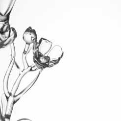 Ranunculus Acris Cocktail Glass