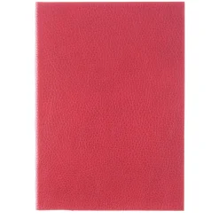 Red Leather Notebook
