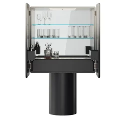 Regis 2-Door Gradient Bar Cabinet