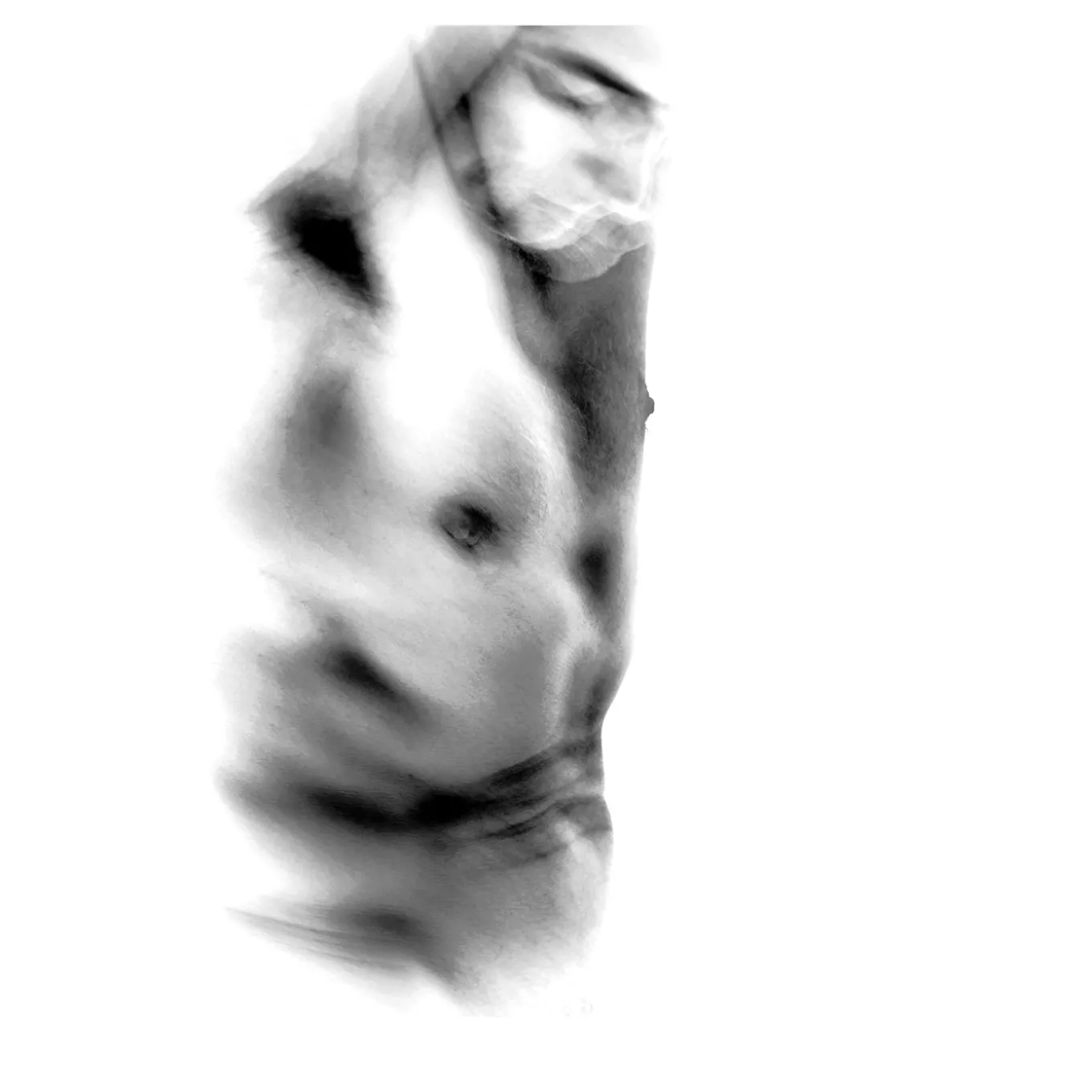 Removal - Fine Art Photograph