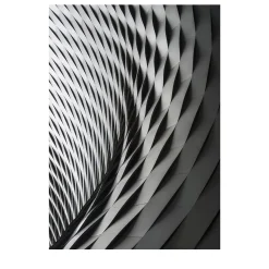 Richenring 63 (2019) Photography