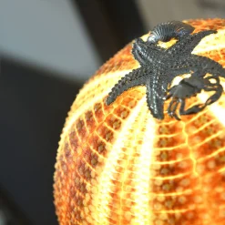 Rich-O Lamp Starfish