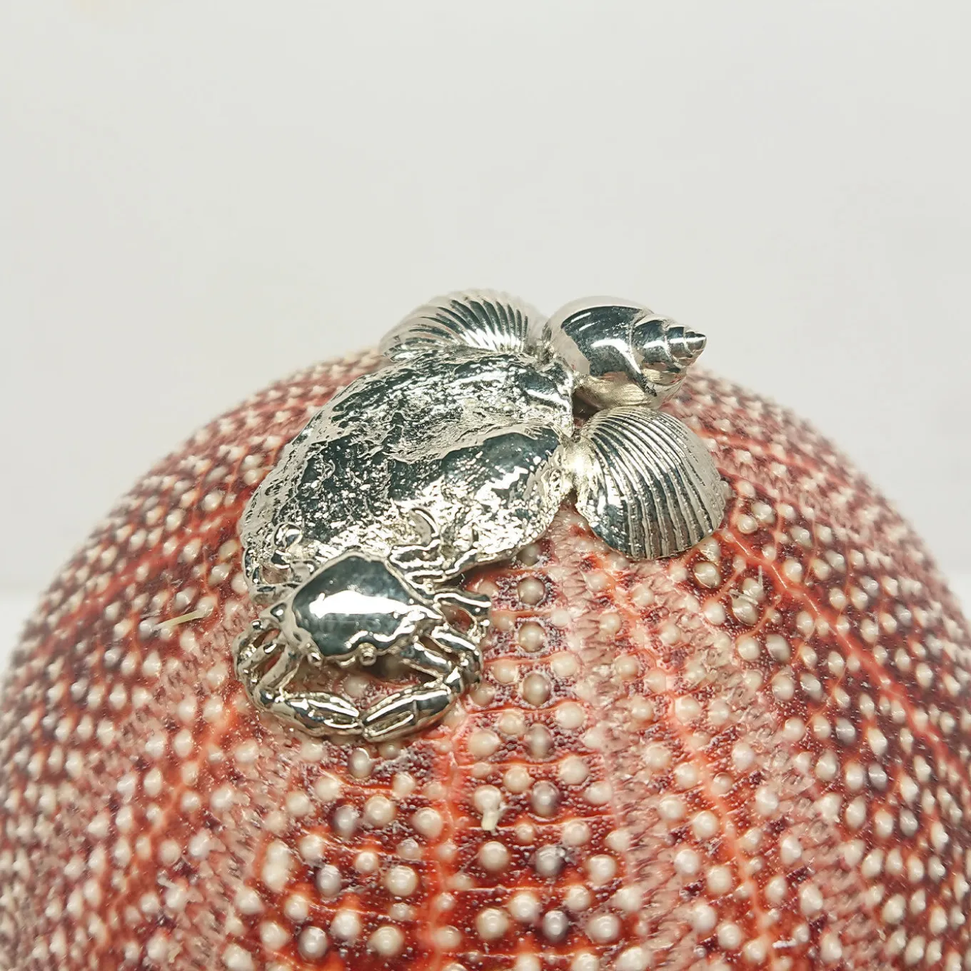 Rich-O Lamp Starfish