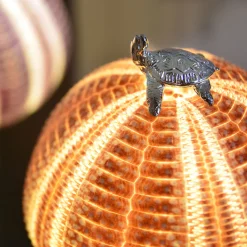 Rich-O Lamp Turtle