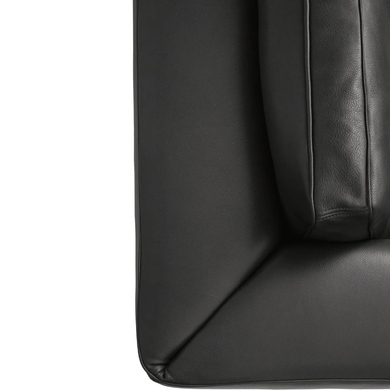 Roger Black Sofa by Dainellistudio