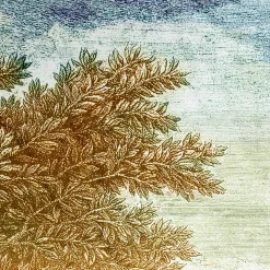 Roma velvet Plaid with landscape view of Rome