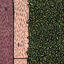 Rose Realm Handmade Wool Rug