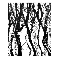 Roseaux, Parco Nord Drawing