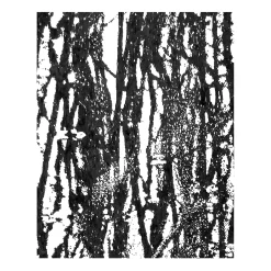 Roseaux, Parco Nord Drawing