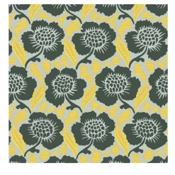 RYAN'S DREAM MICRO-D Wallpaper