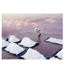 Salt Fine Art Print #1