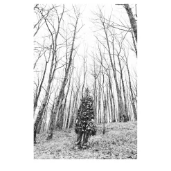 Savage Fool Bear Photography #12