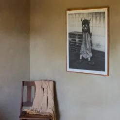 Savage Fool Bear Photography #08