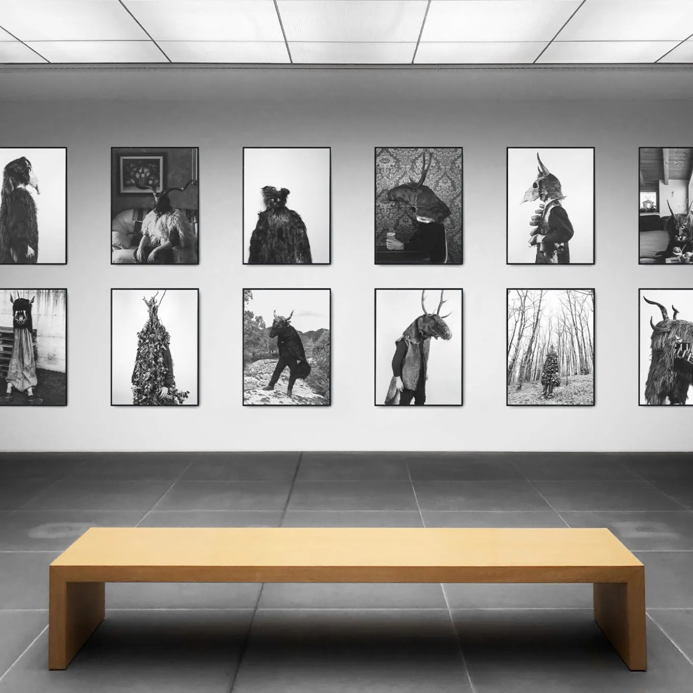 Savage Fool Bear Photography #11