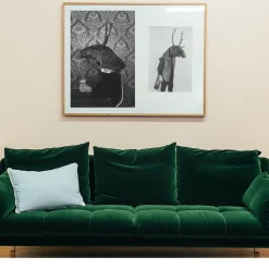 Savage Fool Bear Photography #04