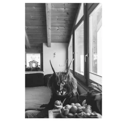 Savage Fool Bear Photography #06