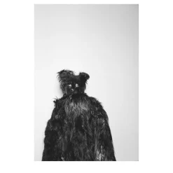 Savage Fool Bear Photography #05