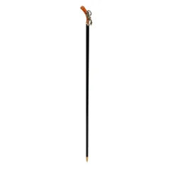 Scorpion Handle Walking Stick