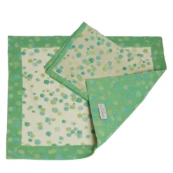 Set of 2 Aqua and Green Placemats with napkins
