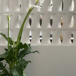 Set of 15 Brasilia White Plaster Screenblock