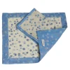 Set of 2 Celeste and Blue Placemats With Napkins