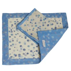 Set of 2 Celeste and Blue Placemats With Napkins