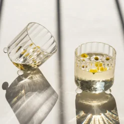 Set of 2 High Spirits Clear Lowball Glasses