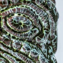 Set of 2 Nikolai Tiki Baroquè Tumblers