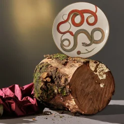 Set of 3 Serpi Dinner Plates #2