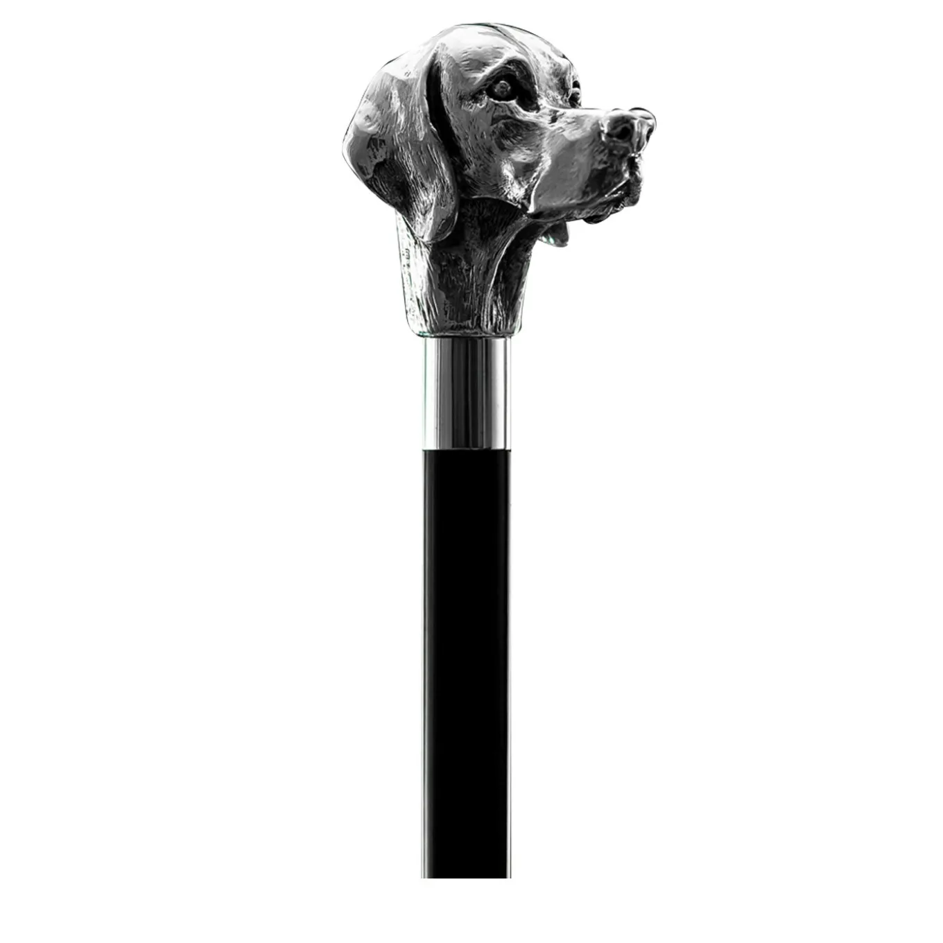 Setter Walking Stick