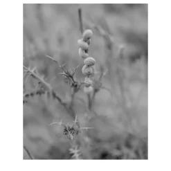 Sicily Cornino Bay 04 Photography