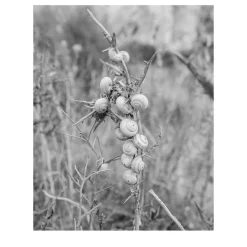 Sicily Cornino Bay 07 Photography