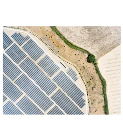 SIM_EF_MDC_0082-3 Photograph