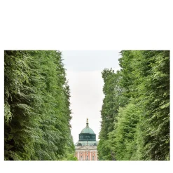 SIM_PTS_1443 Photograph