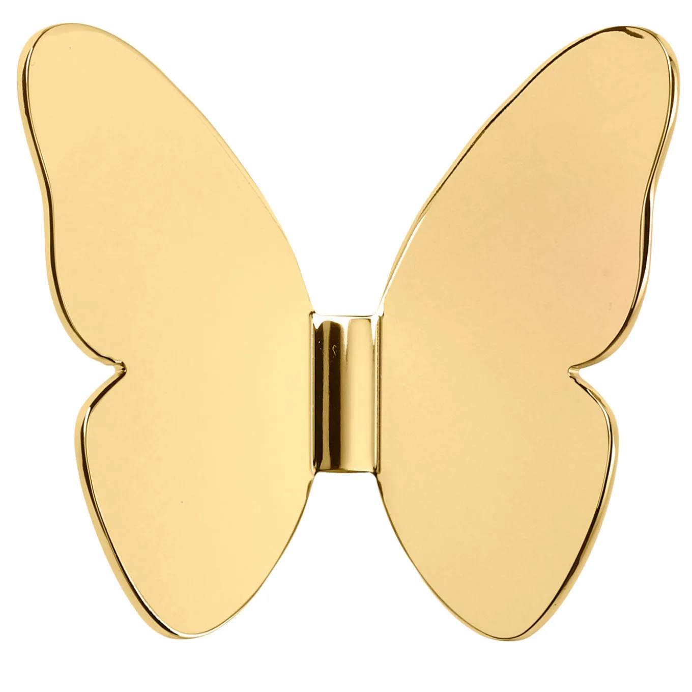 Single Butterfly Hook By Richard Hutten