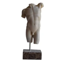 Small Marble Male Torso Sculpture