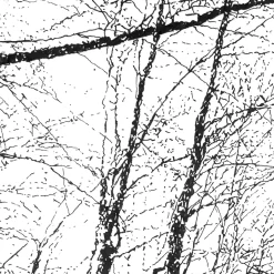 Snowy valley, Morterone Drawing