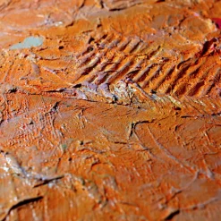 Solar Explosion Abstract Painting by Giuseppe Caiafa