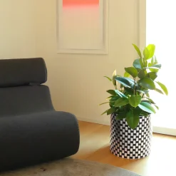 Splot4flowers Optical Black Cachepot