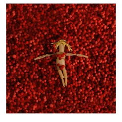 Still House #6 Photograph