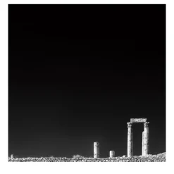 Still Standing Photograph