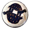 Tartarughe decorative plate