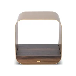 Tawla Gold Metal Side Table with Wooden Base